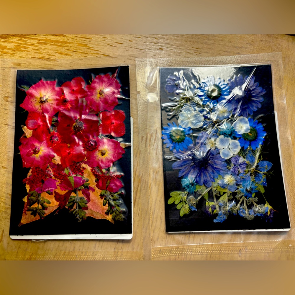 Dried Pressed Flowers 2 Packs Rose Red and 3Packs Blue Blooms 25 Pieces per Pack